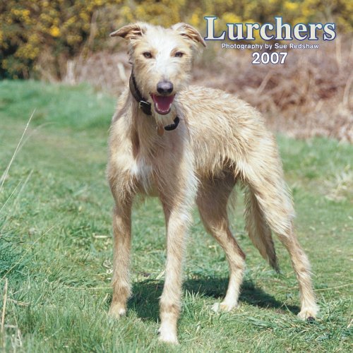 Lurchers 2007 Calendar Books