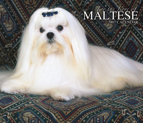For the Love of Maltese 2007 Deluxe Calendar Books