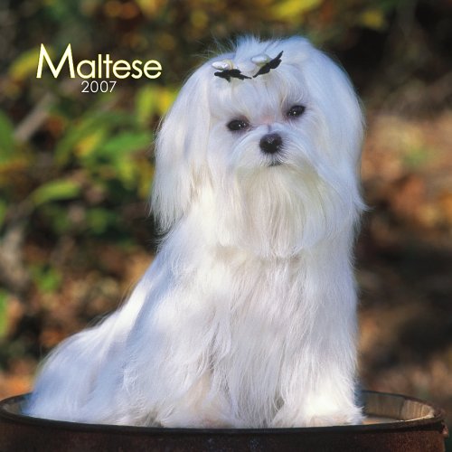 Maltese 2007 Calendar Books