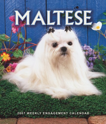 Maltese 2007 Weekly Calendar Books