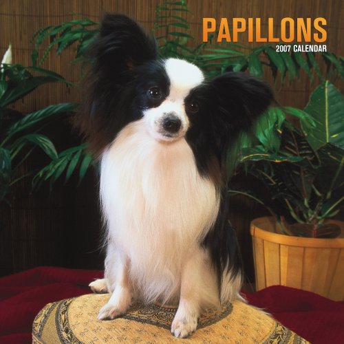 Papillons 2007 Calendar Books