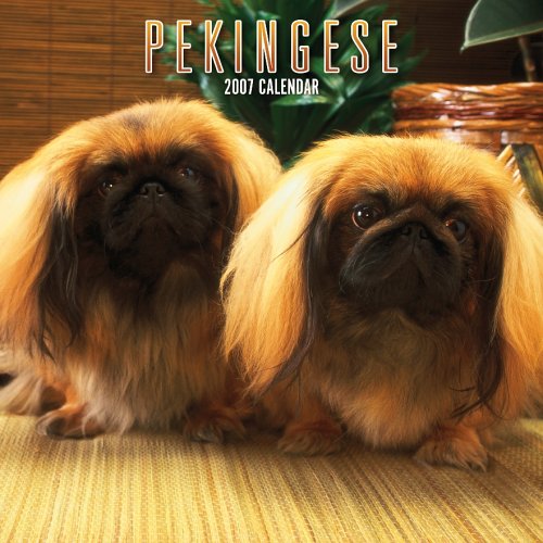Pekingese 2007 Calendar Books