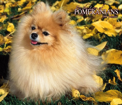 For the Love of Pomeranians 2007 Deluxe Calendar Books