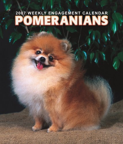 Pomeranians 2007 Calendar Books