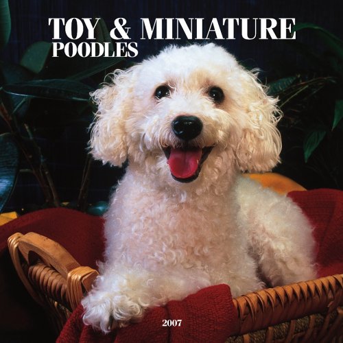 Toy And Miniature Poodles 2007 Calendar Books