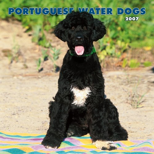Portuguese Water Dogs 2007 Calendar Books