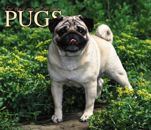 For the Love of Pugs 2007 Calendar Books