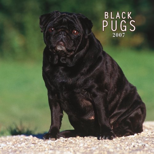 Black Pugs 2007 Calendar Books