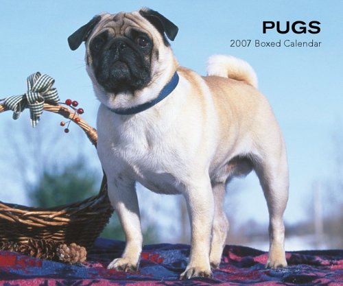 Pugs 2007 Calendar Books