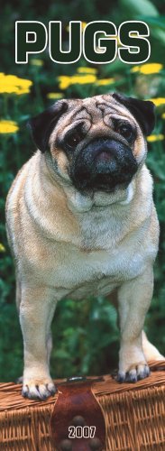 Pugs 2007 Slimline Calendar Books