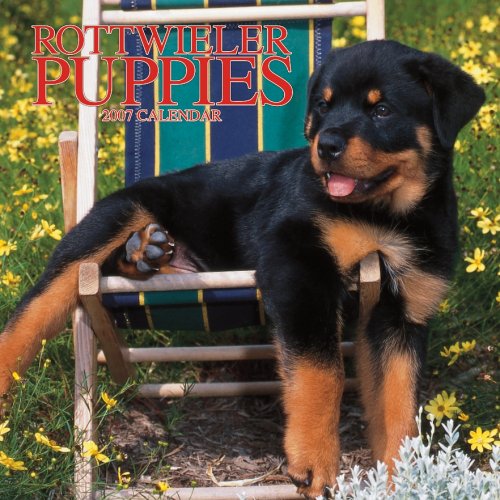 Rottweiler Puppies 2007 Calendar Books