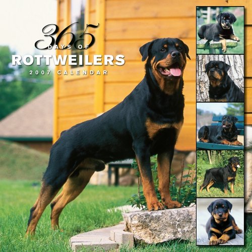 Rottweilers 365 Days 2007 Calendar Books