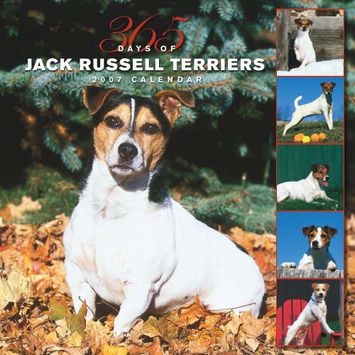 Jack Russell Terriers 365 Days 2007 Calendar Books