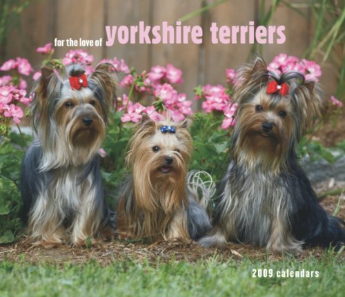 For the Love of Yorkshire Terriers 2009 Calendar Books