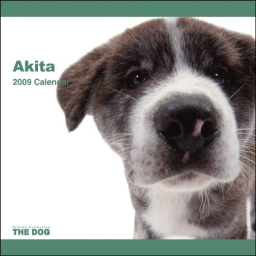 Akita 2009 Calendar Books