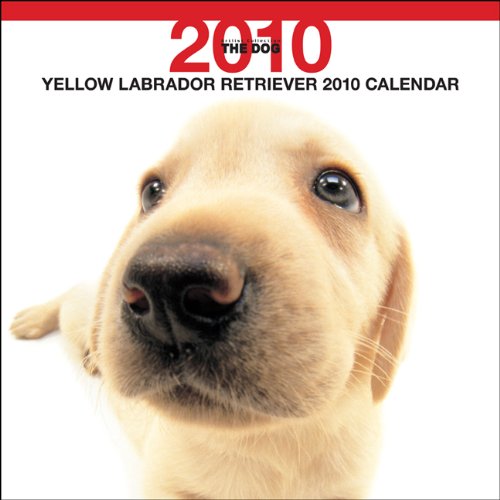 Yellow Labrador Retriever 2010 Calendar (The Dog Artlist Collection) Books