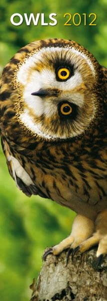 Owls 2012 (Slimline-Kalender) Calendars