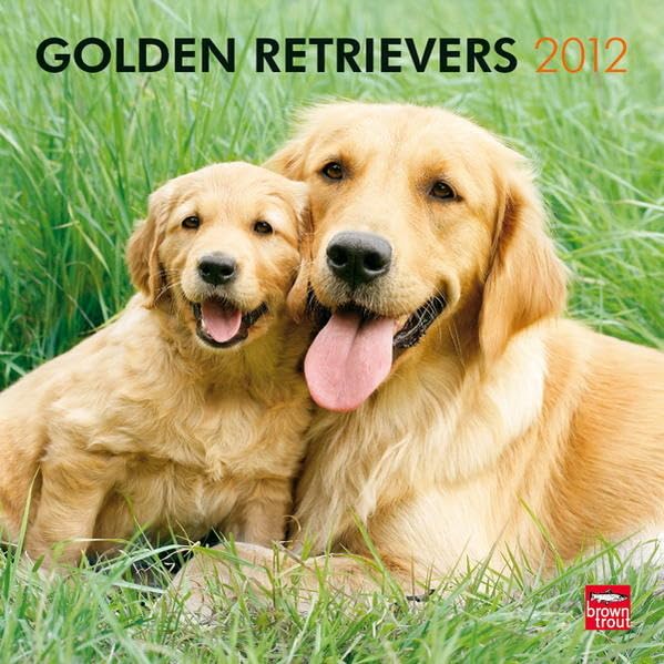 Golden Retrievers 2012 Calendar Pets