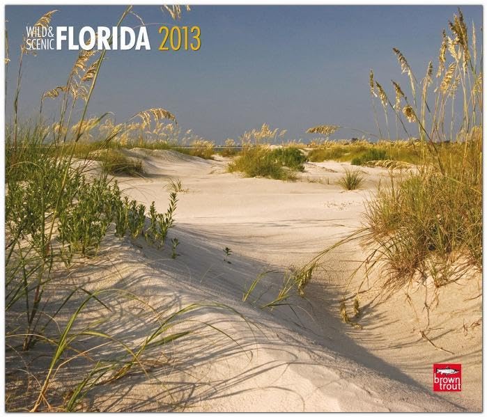 Florida 2013: Wild & Scenic (Deluxe-Kalender) Leisure, Home & Garden