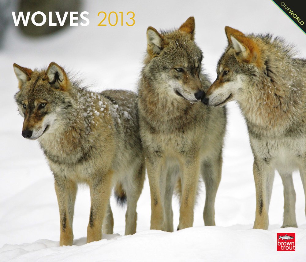 Wolves 2013: Wölfe (Deluxe-Kalender) Leisure, Home & Garden