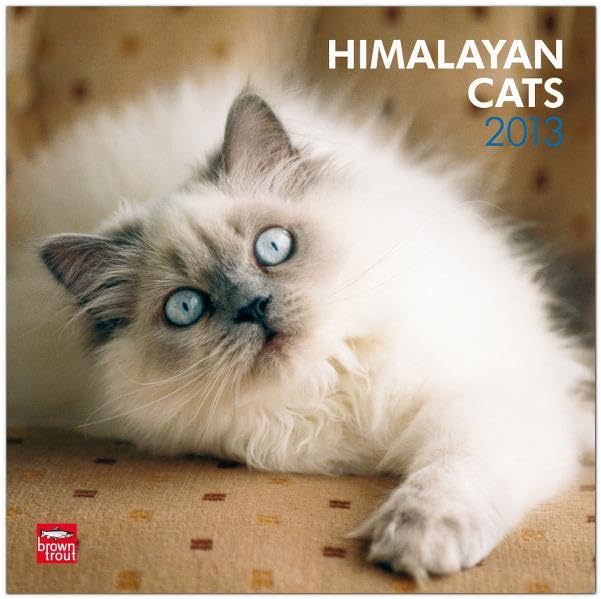 Himalayan Cats 2013: Colourpoint-Katzen (Wall-Kalender) Pets