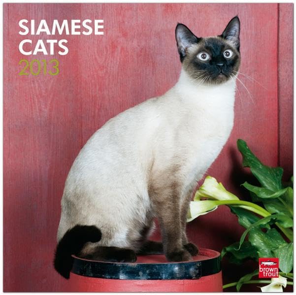 Siamese Cats 2013: Siam-Katzen (Wall-Kalender) Pets