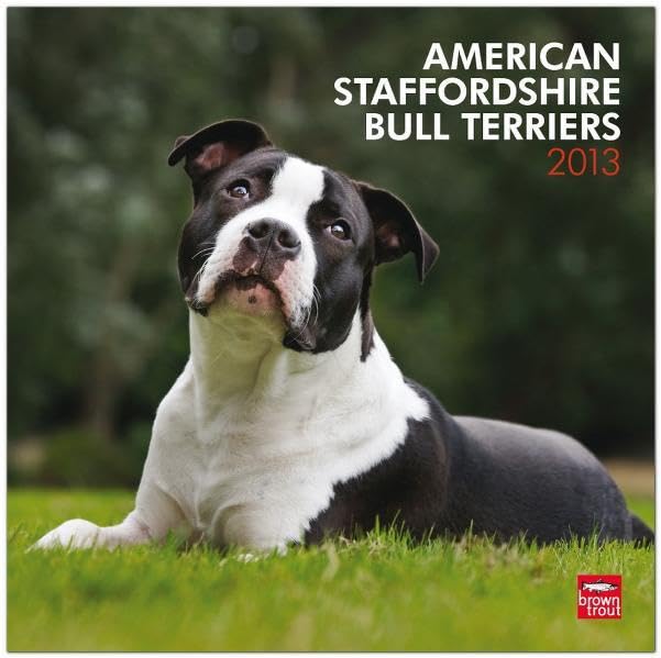 American Staffordshire Terriers 2013: Staffordshire Terrier (Wall-Kalender) Pets
