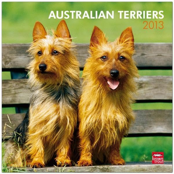 Australian Terriers 2013: Australische Terrier (Wall-Kalender) Pets