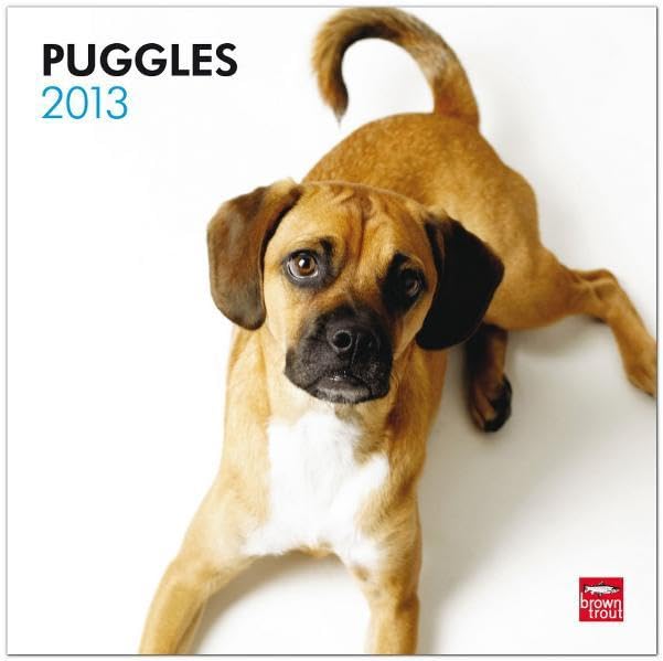 Puggles 2013 (Wall-Kalender) Pets