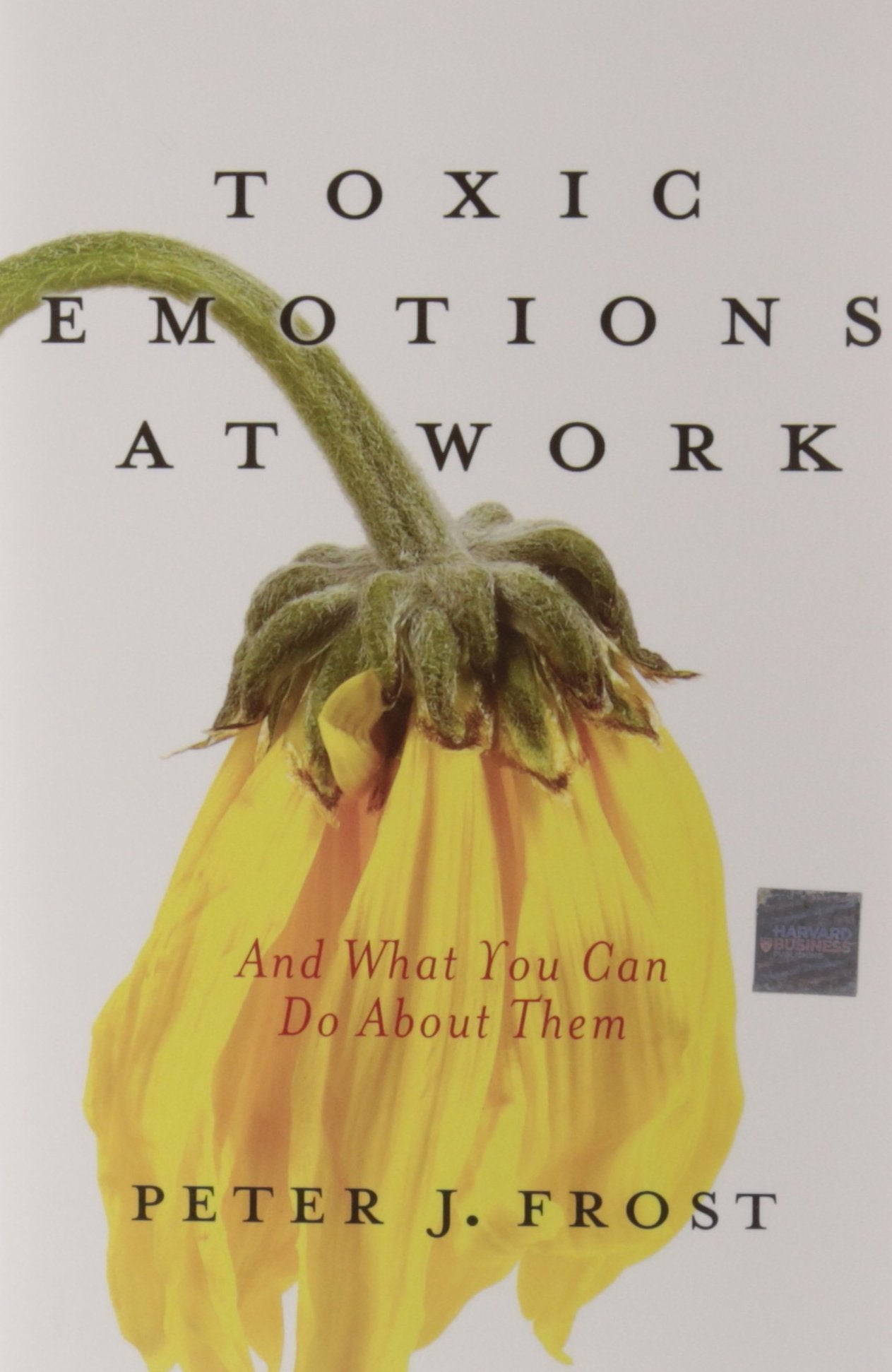 Toxic Emotions at Work and What You Can Do about Them Business, Finance & Career