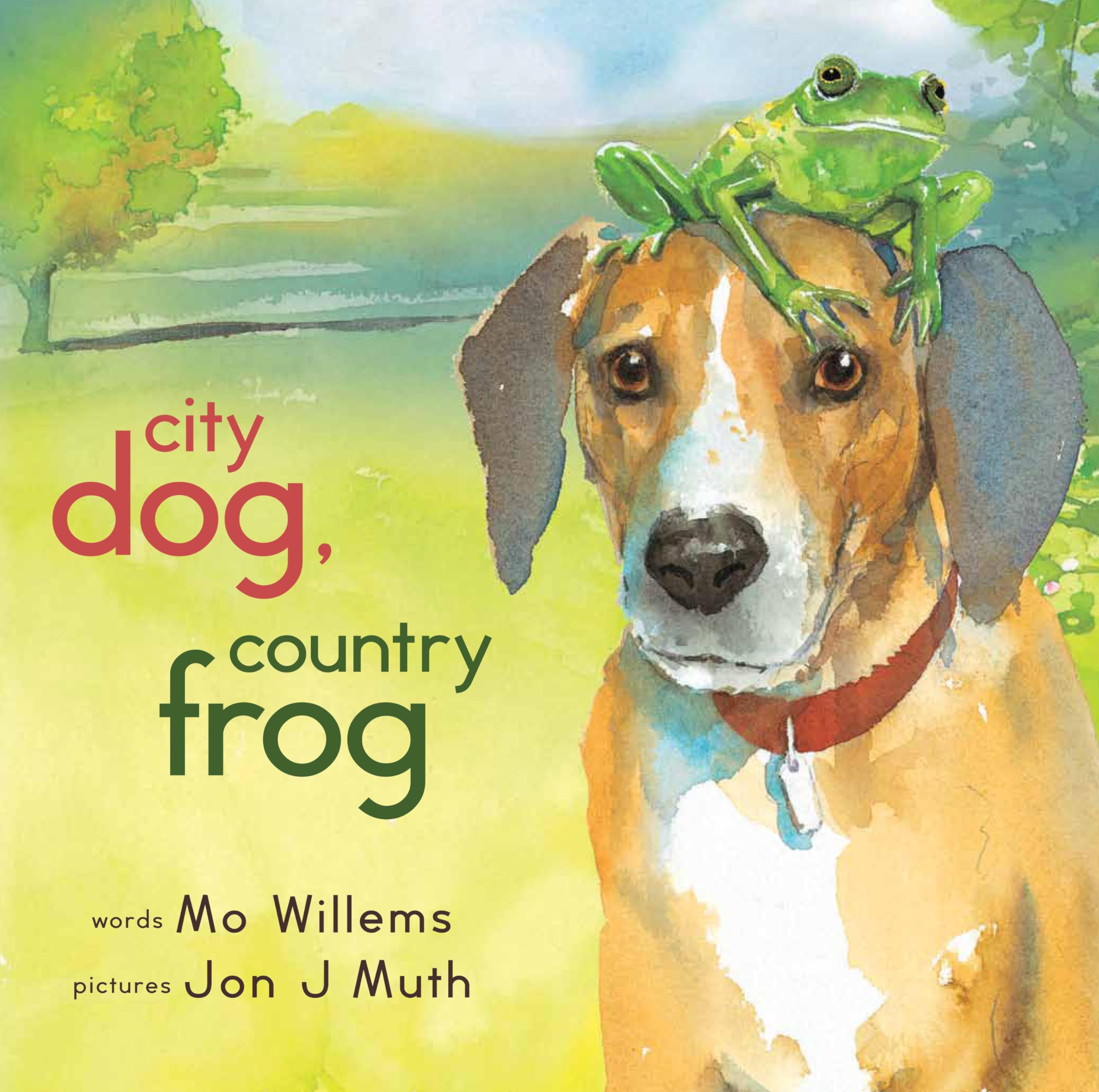 City Dog, Country Frog Non-fiction