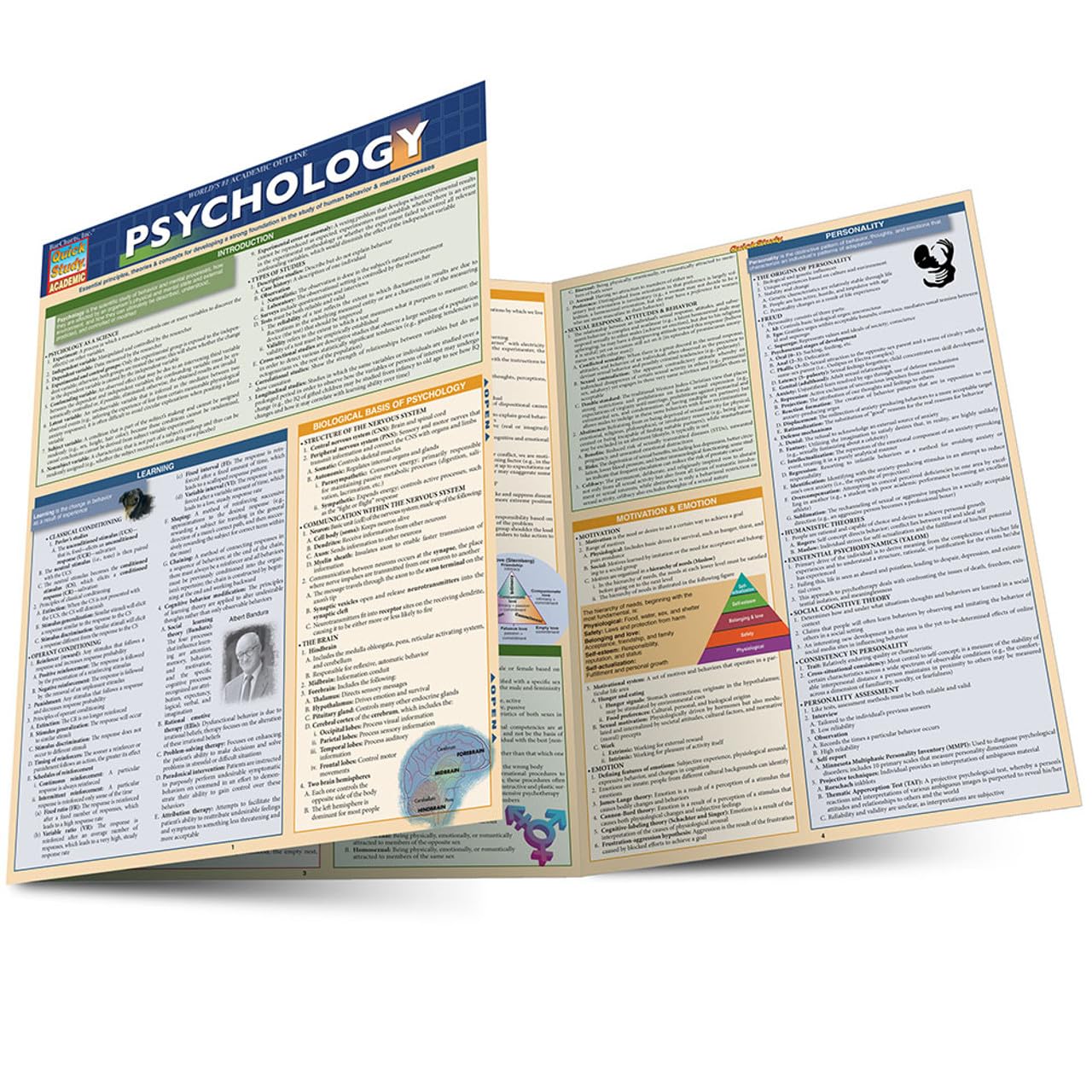Psychology: a QuickStudy Laminated Reference Guide (Qucik Study) Media & Communication