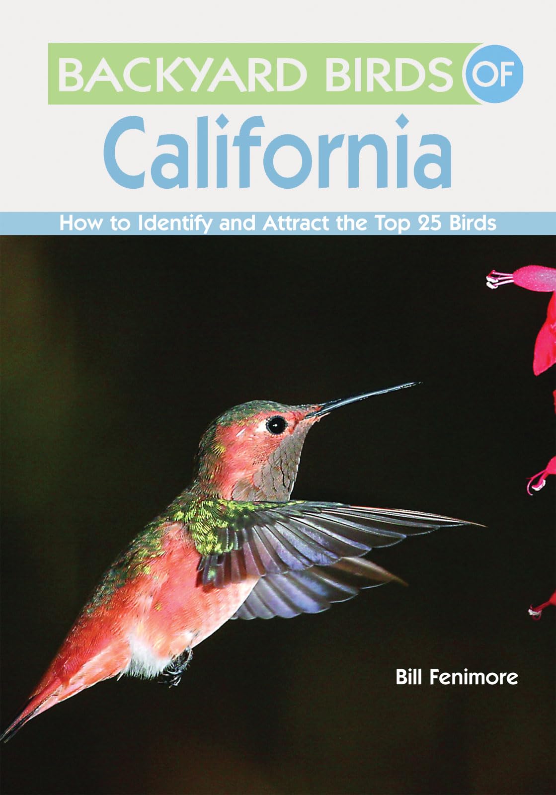 Backyard Birds of California: How to Identify and Attract the Top 25 Birds Mathematics