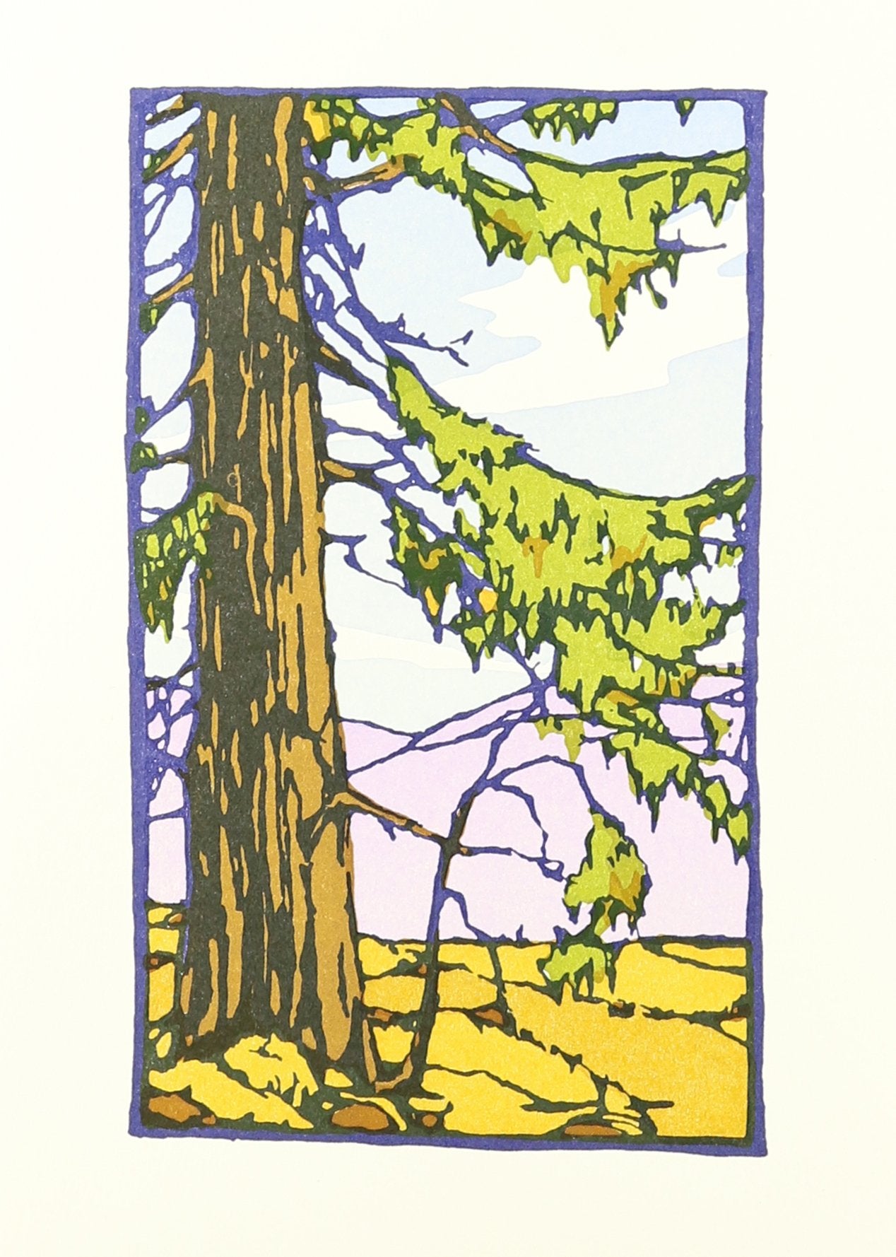 California Redwood: Boxed Set of 6 Cards Lifestyle