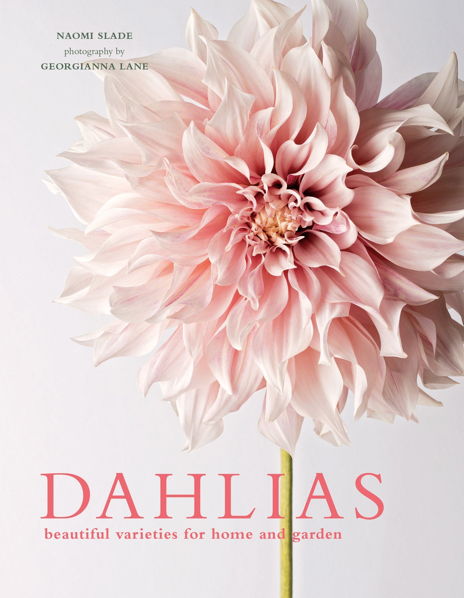 Dahlias: Beautiful Varieties for Home & Garden (Flowers) Garden & Plants