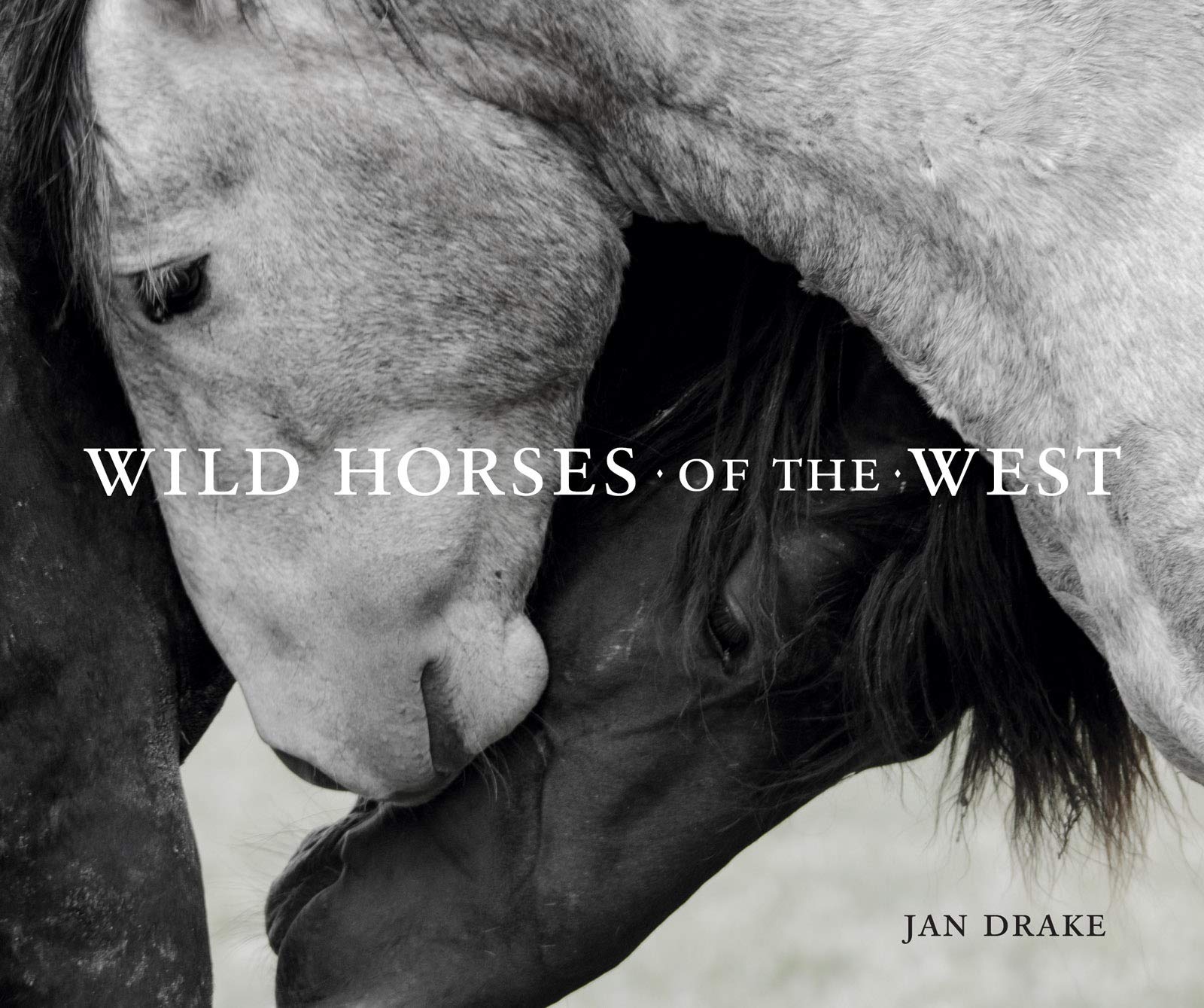 Wild Horses of the West (Wild in the West) Mathematics
