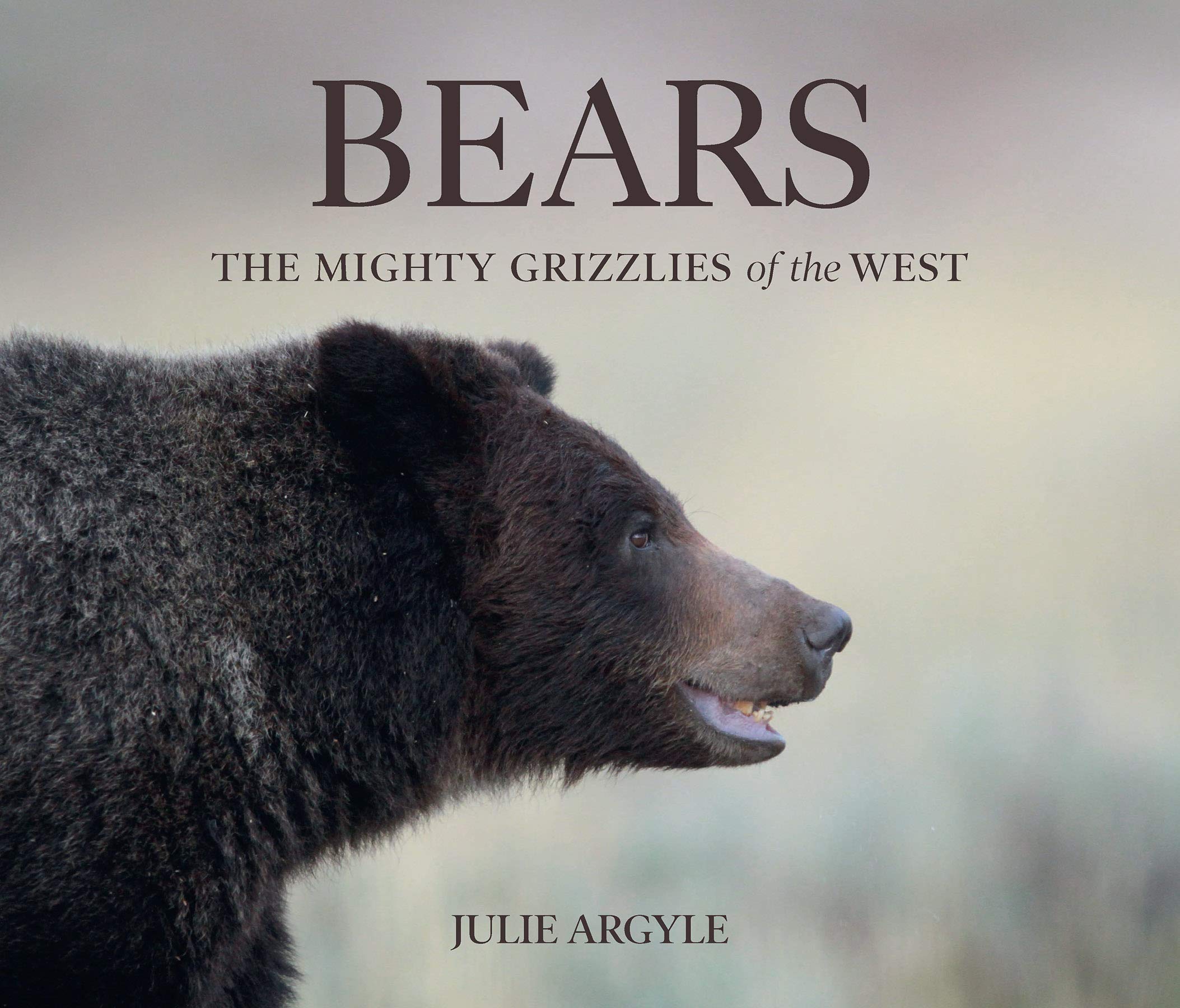 Bears: The Mighty Grizzlies of the West (Wild in the West) Mathematics