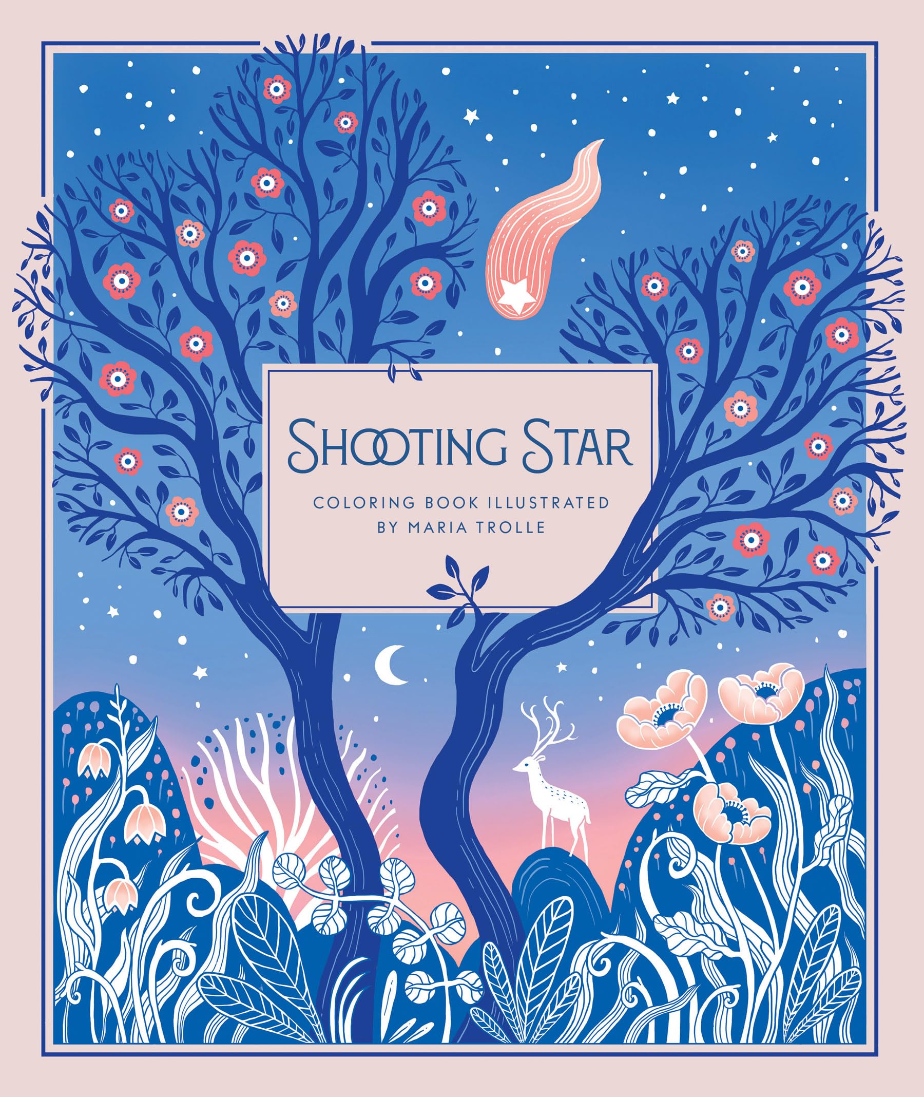 Shooting Star Mathematics Books