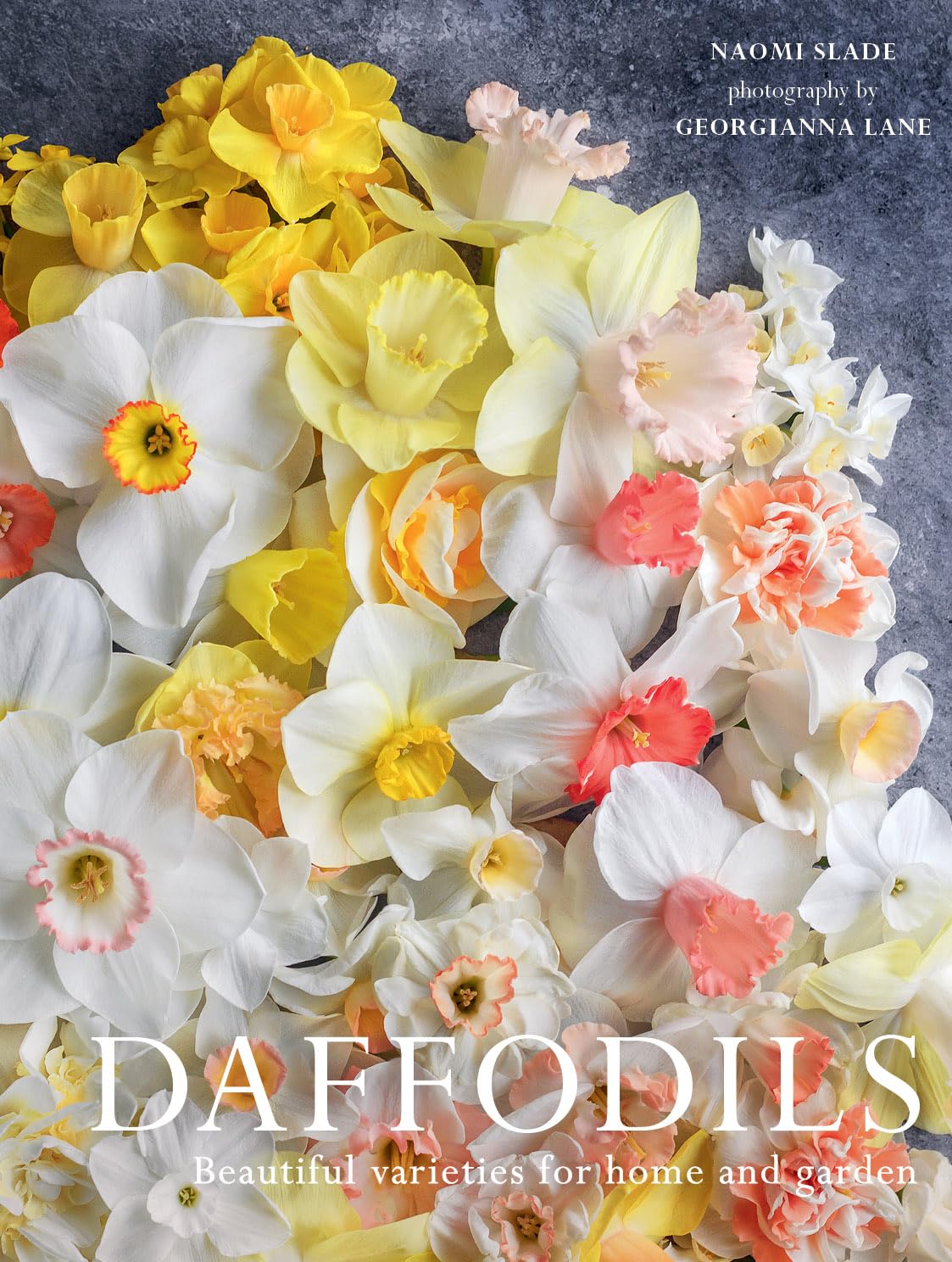 Daffodils: Beautiful Varieties for Home and Garden (Flowers) Hobbies & Crafts