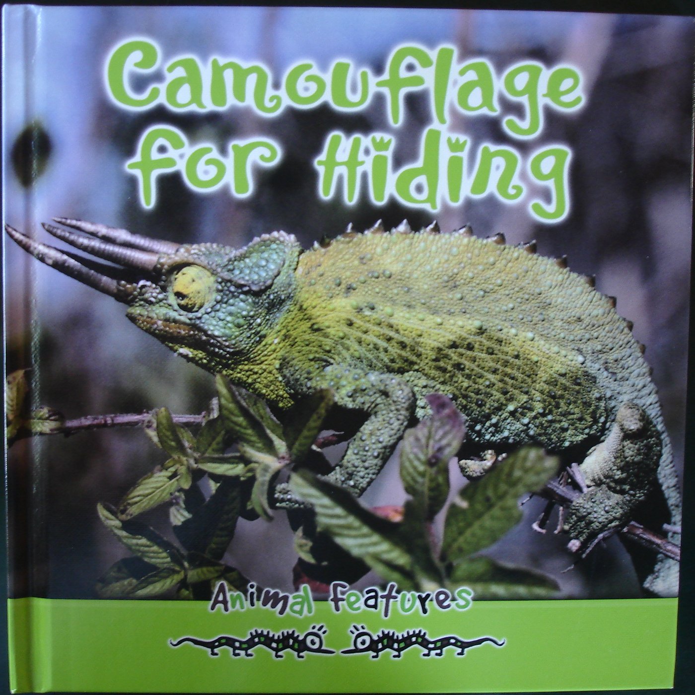 Product Image: Camouflage for Hiding (Animal Features)