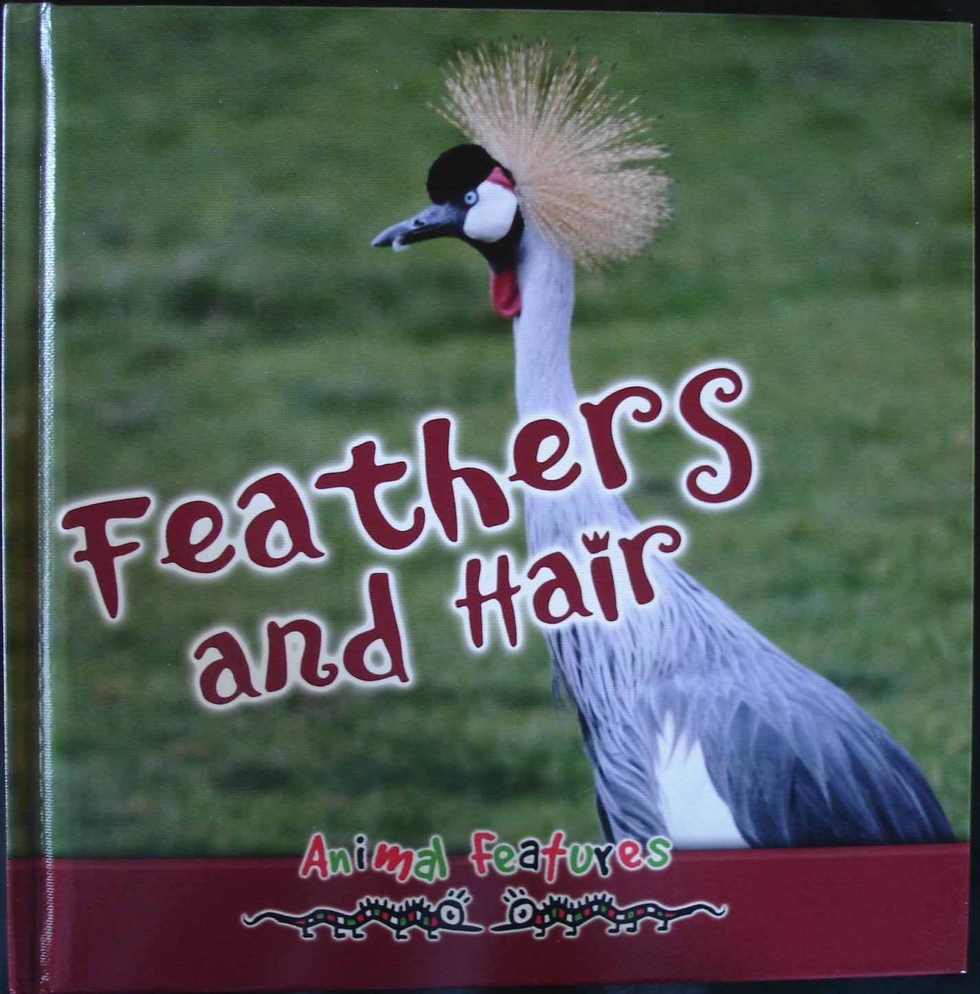 Product Image: Feathers and Hair (Animal Features)