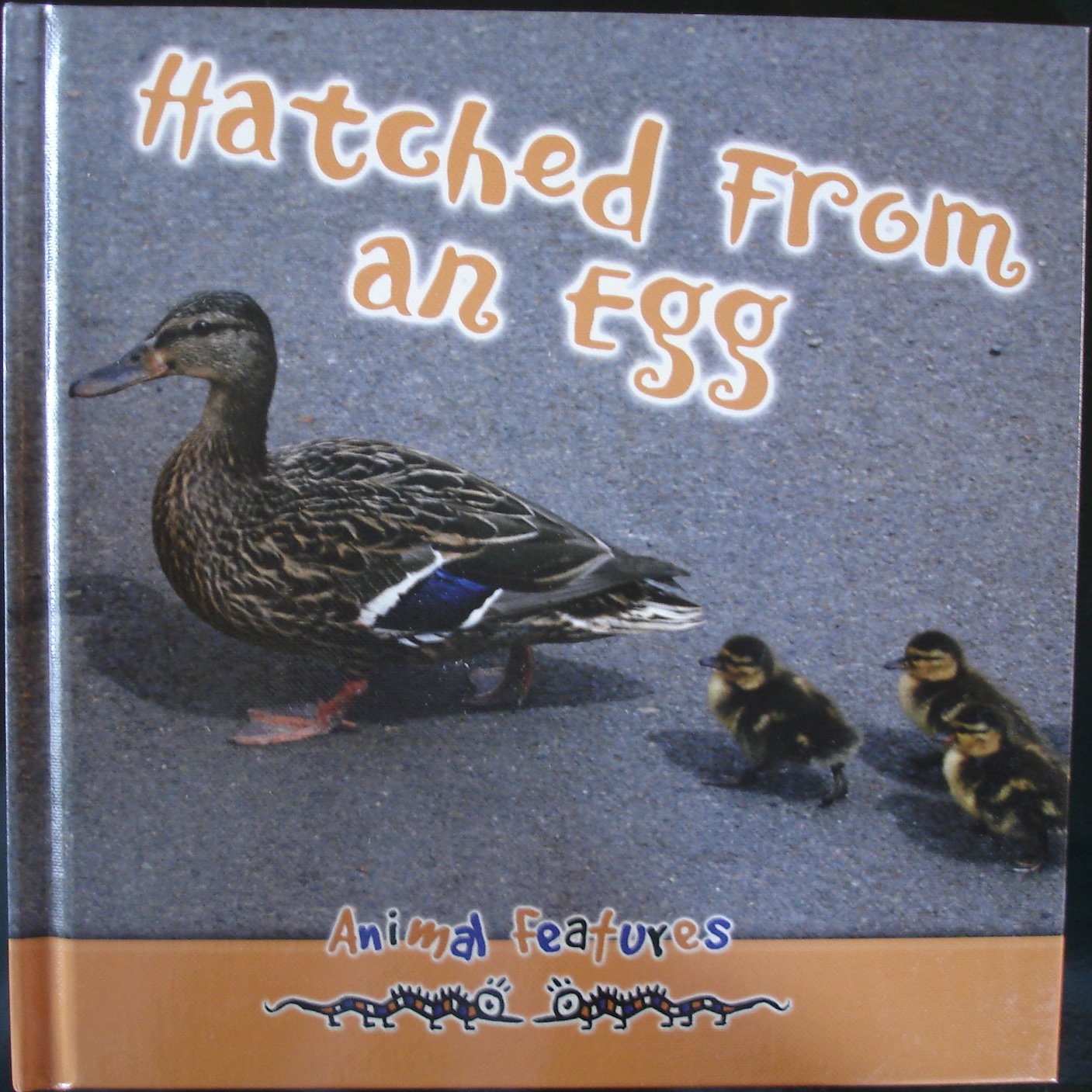 Hatched from an Egg (Animal Features) Non-fiction