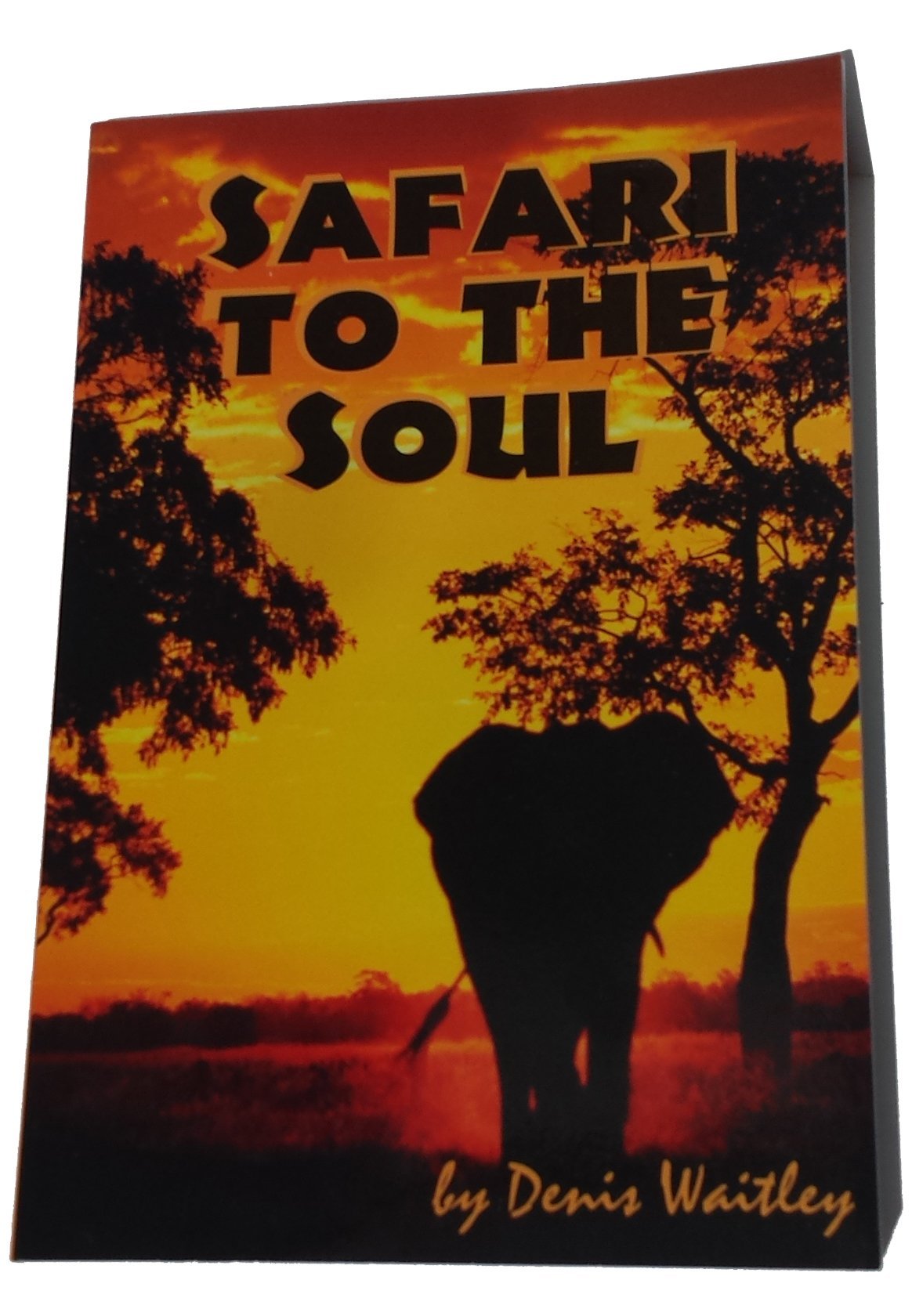 Safari to the Soul Psychology