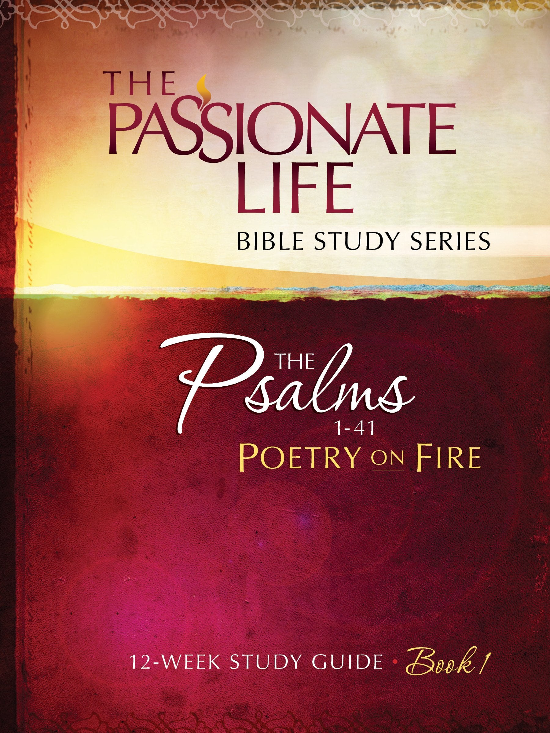 Psalms: Poetry on Fire Book One 12-Week Study Guide: The Passionate Life Bible Study Series Social Sciences