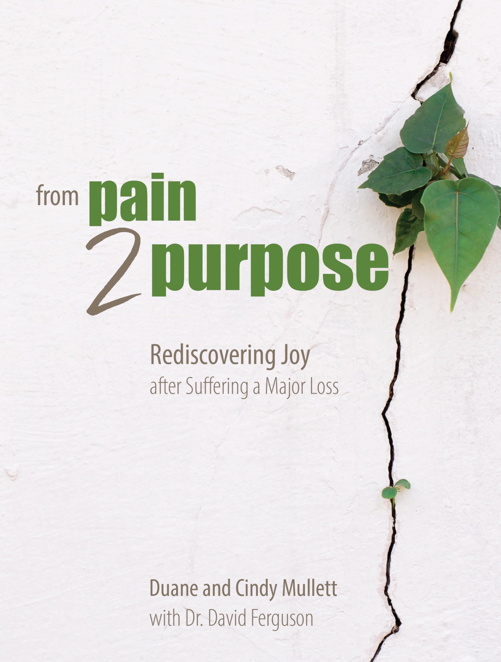From Pain 2 Purpose: Rediscovering Joy After Suffering a Major Loss Death & Mourning
