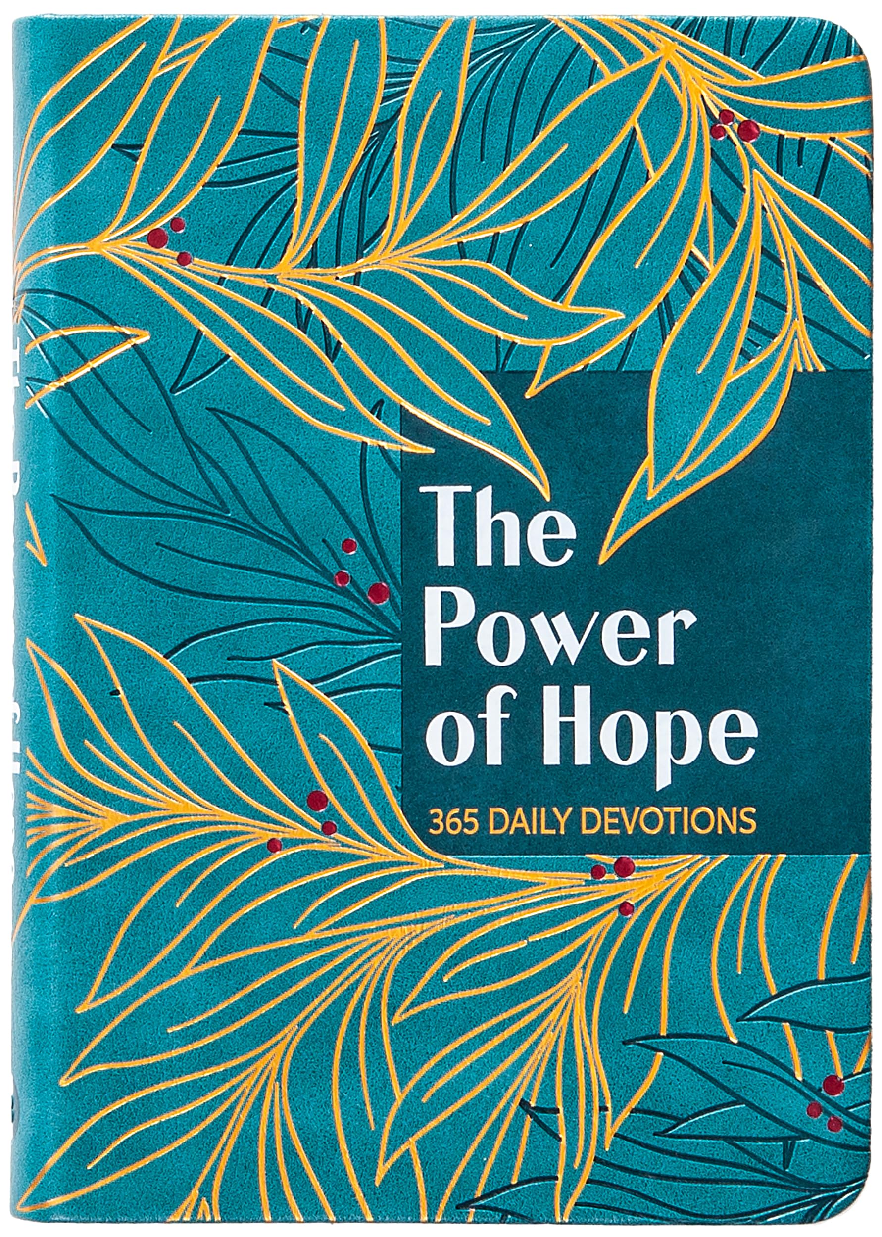 The Power of Hope: 365 Daily Devotions Religion & Esotericism