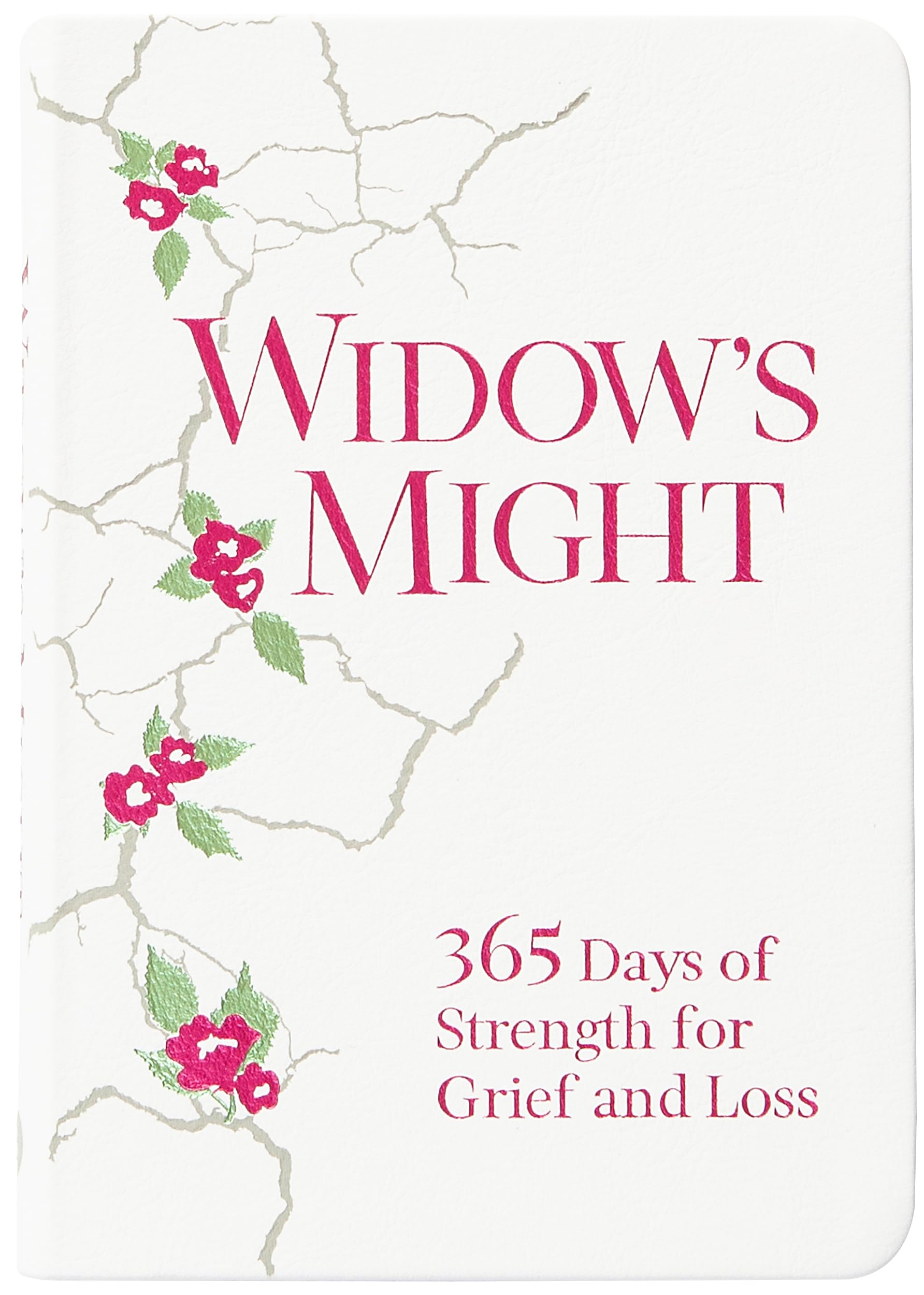 Widow's Might: 365 Days of Strength for Grief and Loss Death & Mourning