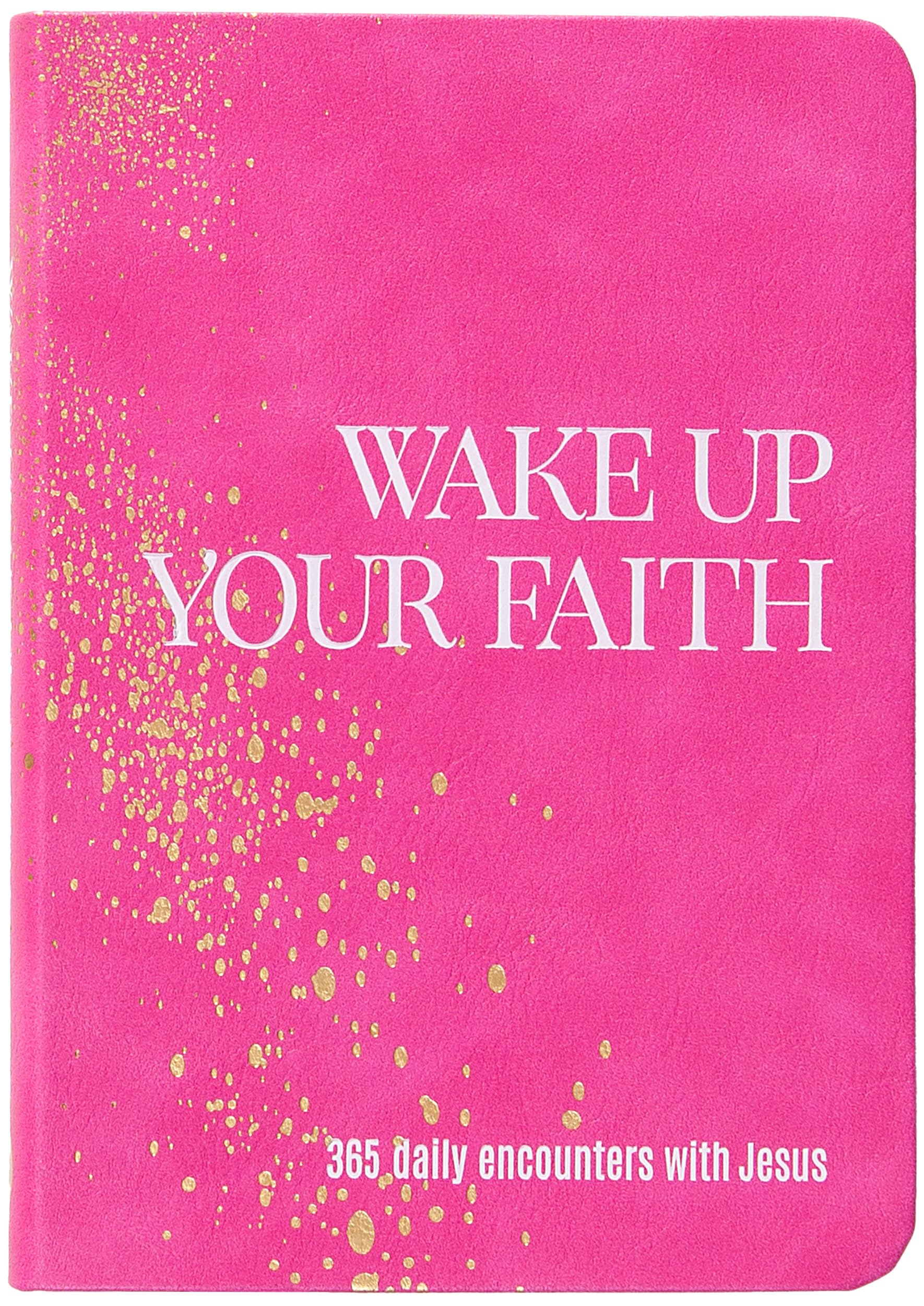 Wake Up Your Faith: 365 Daily Encounters with Jesus Books