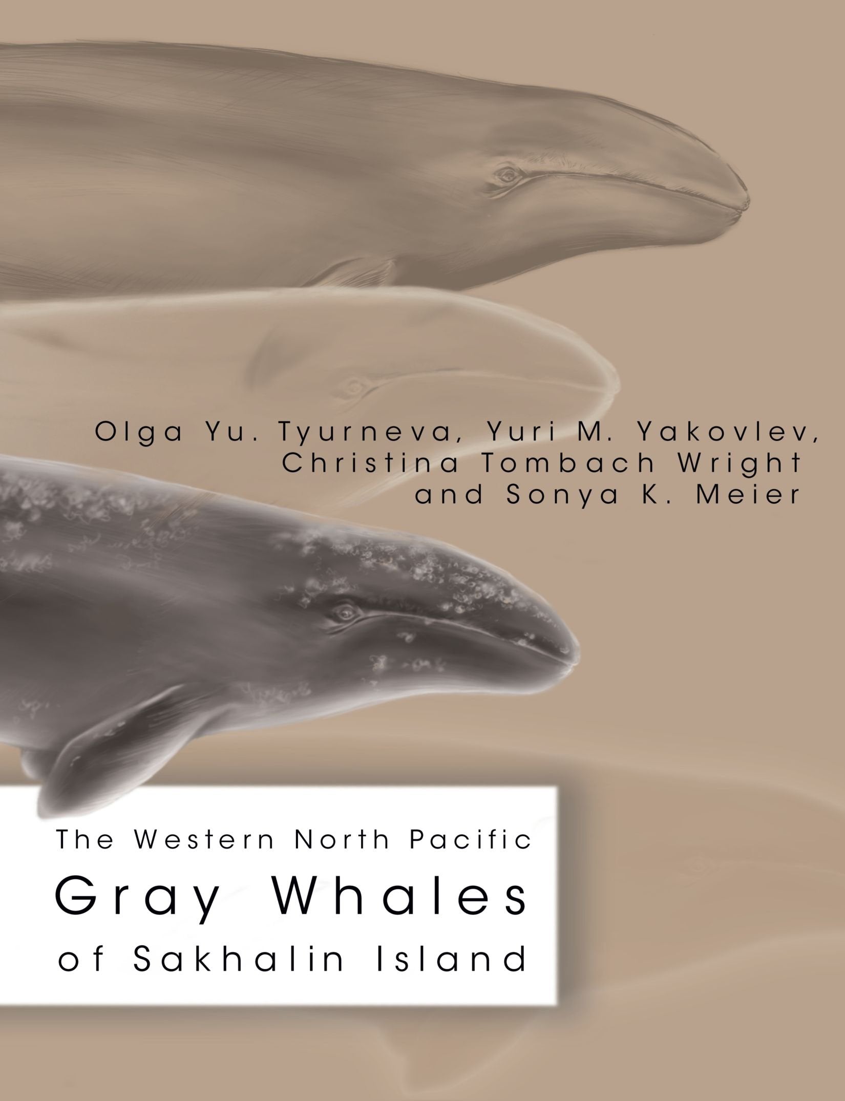 The Western North Pacific Gray Whales of Sakhalin Island Mathematics