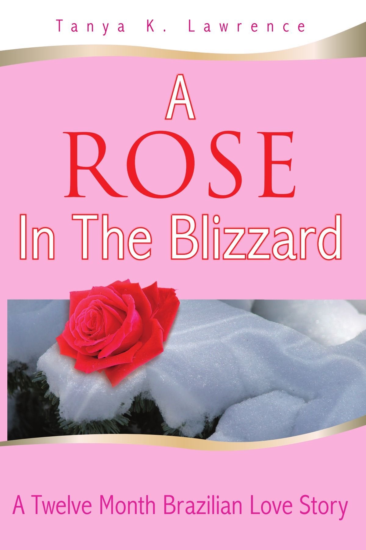 A Rose In The Blizzard: A Twelve-Month Brazilian Love Story Contemporary literature